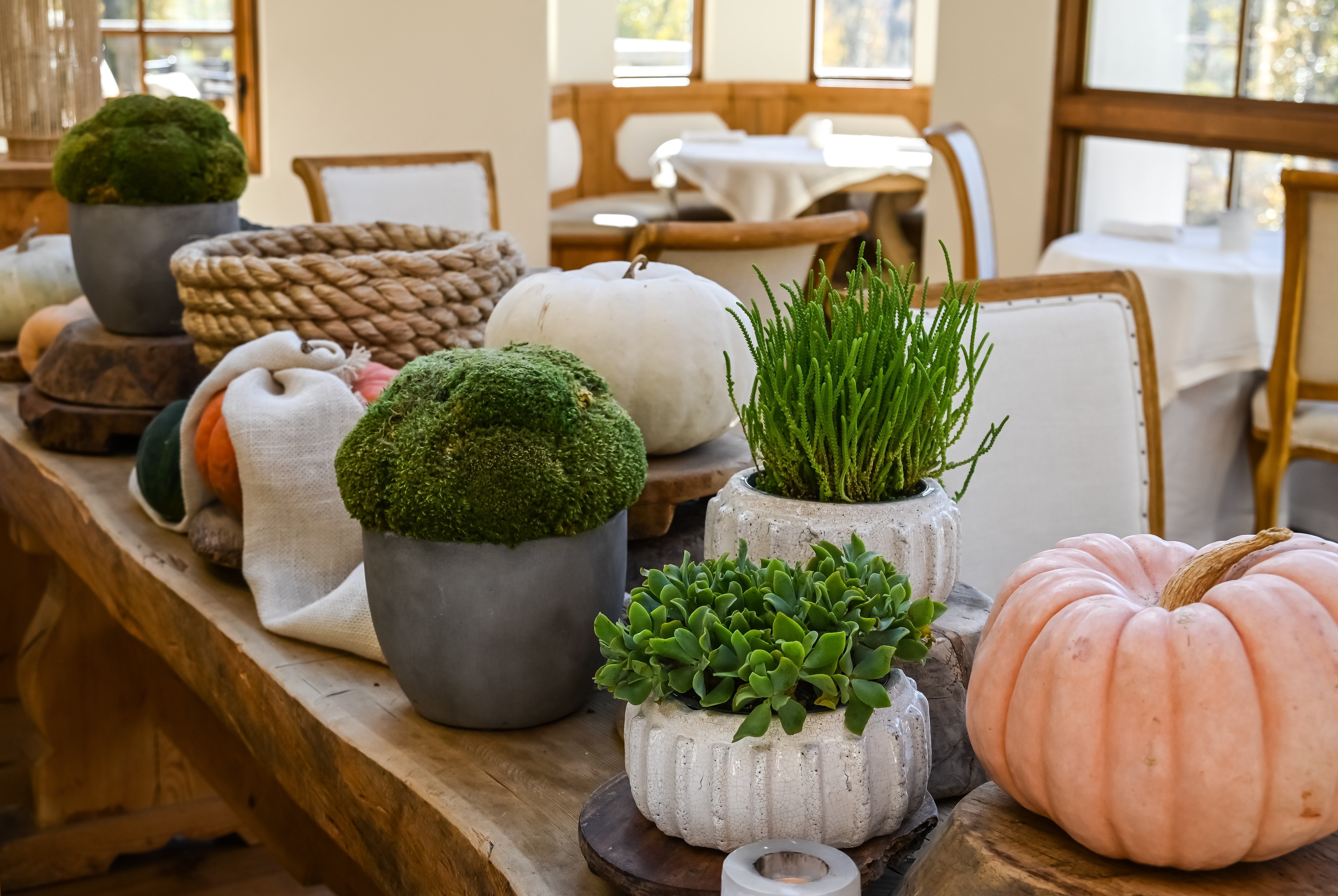 Easy Fall Decorating Ideas