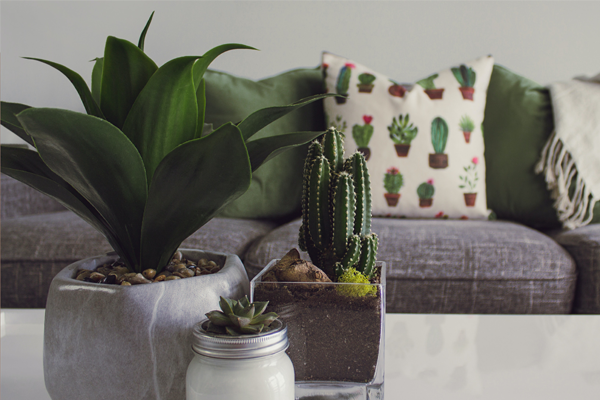 Best home decor products of 2022