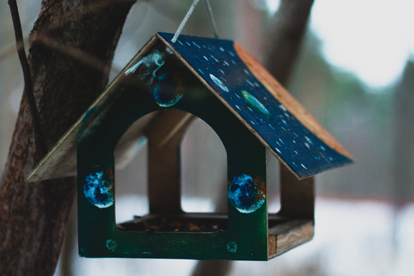 The Evolution of Birdhouses and Bird Feeders: A Trip Through History