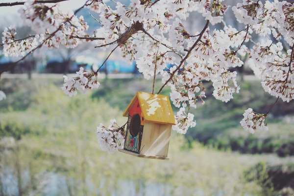 Beautifully Crafted Birdhouses: A Perfect Addition to Your Garden
