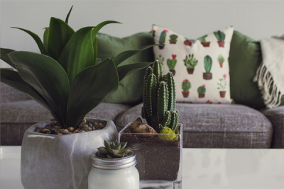 Best home decor products of 2022