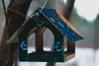 The Evolution of Birdhouses and Bird Feeders: A Trip Through History