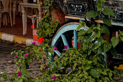 Refresh Your Lawn and Garden: Trendy Summer Decor Ideas for 2023